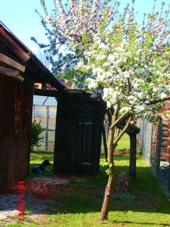 Villa Sedliacka Drevenica Liptovská Osada Esterno foto